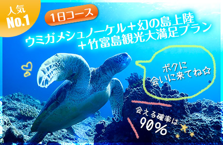 ウミガメシュノーケリング＋幻の島上陸＋竹富島観光 大満足プラン